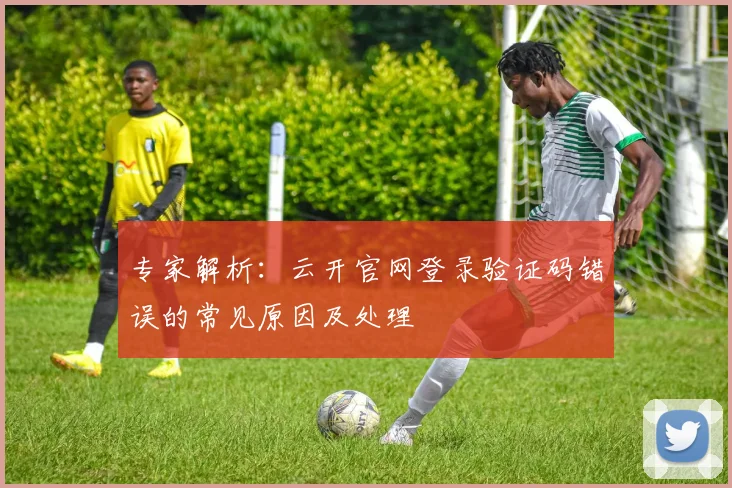 专家解析：云开官网登录验证码错误的常见原因及处理